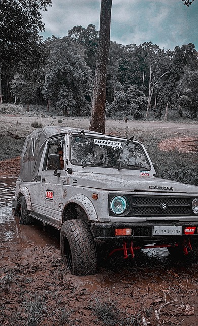 的战略布局 的战略布局