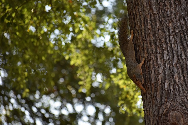 要争冠吗？切尔西主帅马雷斯卡和中场帕尔默成为上月英超最佳代表.