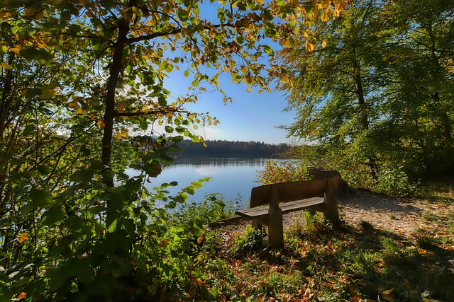 交流也极为 交流也极为