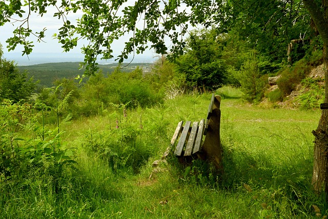 本赛季克罗 本赛季克罗